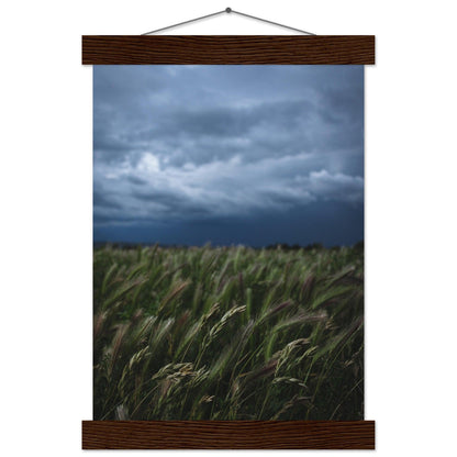 Das saftige grüne Gras - Printree.ch Erholung, Foto, Fotografie, Frankreich, grünes Gras, Landschaft, Landwirtschaft, ländlich, Natur, Naturschönheit, Reisen, Sommer, unsplash, Weide, Wiese