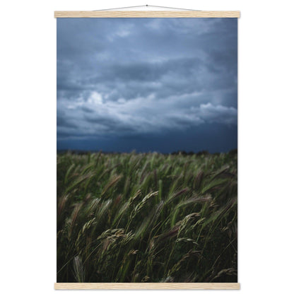 Das saftige grüne Gras - Printree.ch Erholung, Foto, Fotografie, Frankreich, grünes Gras, Landschaft, Landwirtschaft, ländlich, Natur, Naturschönheit, Reisen, Sommer, unsplash, Weide, Wiese