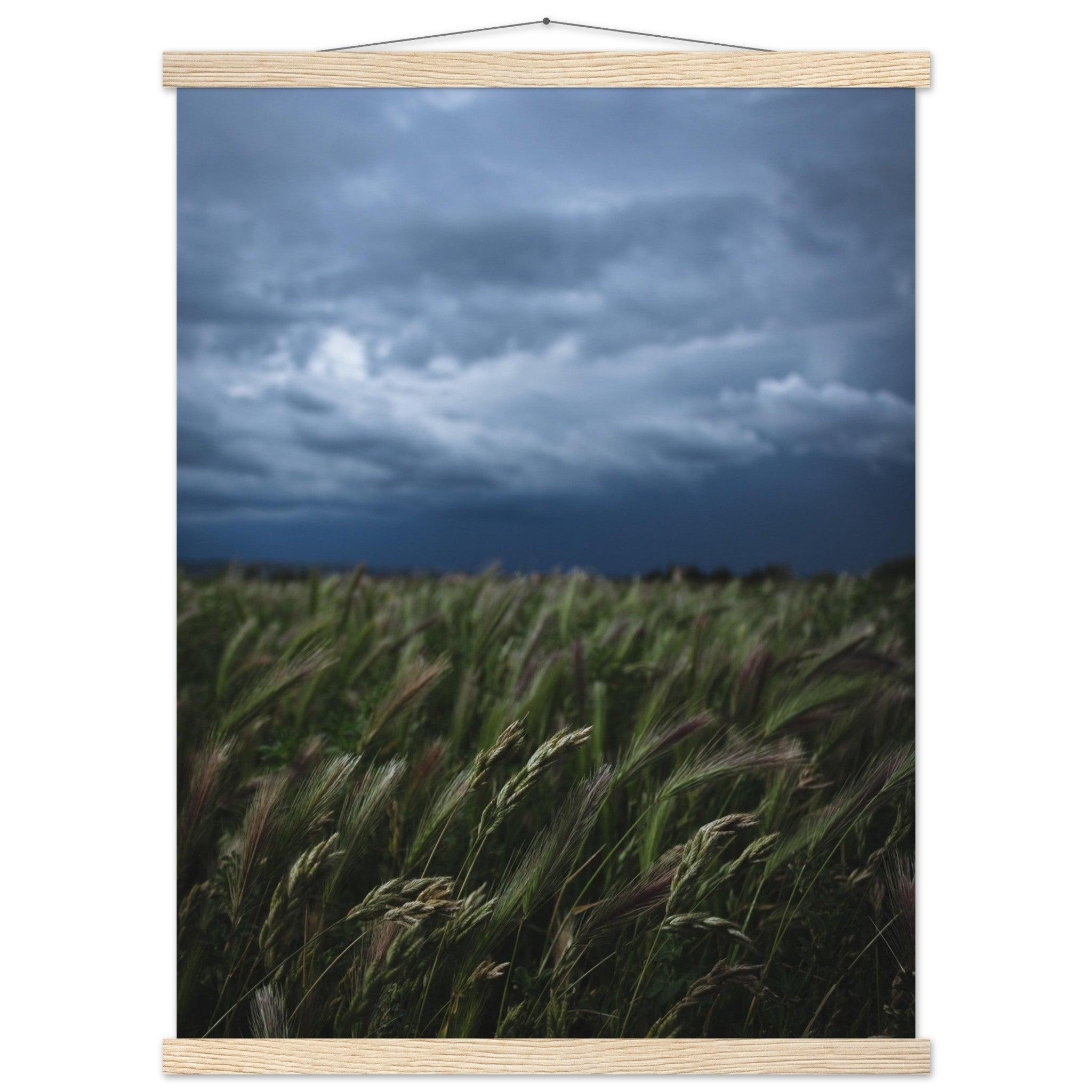 Das saftige grüne Gras - Printree.ch Erholung, Foto, Fotografie, Frankreich, grünes Gras, Landschaft, Landwirtschaft, ländlich, Natur, Naturschönheit, Reisen, Sommer, unsplash, Weide, Wiese