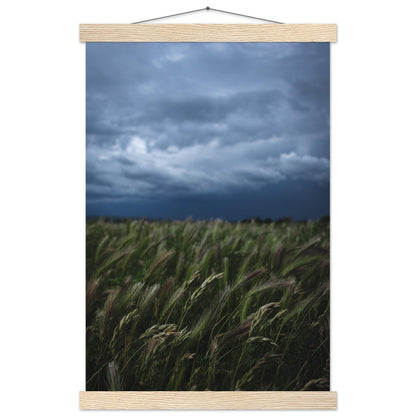 Das saftige grüne Gras - Printree.ch Erholung, Foto, Fotografie, Frankreich, grünes Gras, Landschaft, Landwirtschaft, ländlich, Natur, Naturschönheit, Reisen, Sommer, unsplash, Weide, Wiese