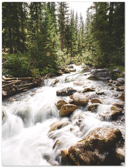 Bach Nationalpark Schweiz - Printree.ch aktiv, bach, bergbach, berge, einfachschweizer, exklusiv, Foto, Fotografie, landschaft, natur, Poster, schweiz, schweizer alpen, sommer, sport, torrent, Vertikal, wandern, wanderung