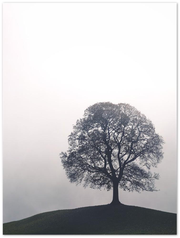 Baum im Nebel - Printree.ch Alpen, Baum, Berg, Berge, einfachschweizer, exklusiv, Foto, Fotografie, Gras, Hintergrund, Holz, Land, Landschaft, Landwirtschaft, ländlich, Milch, Natur, natürlich, Poster, Schweiz, Sommer, Umwelt, Vertikal, Weide, Wiese