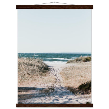 Blick auf das Meer und den Strand - Printree.ch Dänemark, Entspannung, Foto, Fotografie, Gilleleje, Küstenlandschaft, Meer, Meeresblick, Naturschönheit, Poster, Reisen, Strand, Strandlandschaft, unsplash