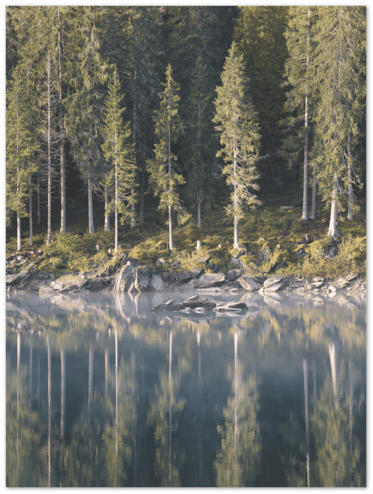 Creastasee - Printree.ch aktiv, bach, bergbach, berge, einfachschweizer, exklusiv, Foto, Fotografie, landschaft, natur, Poster, Schweiz, schweizer alpen, sommer, sport, torrent, wandern, wanderung