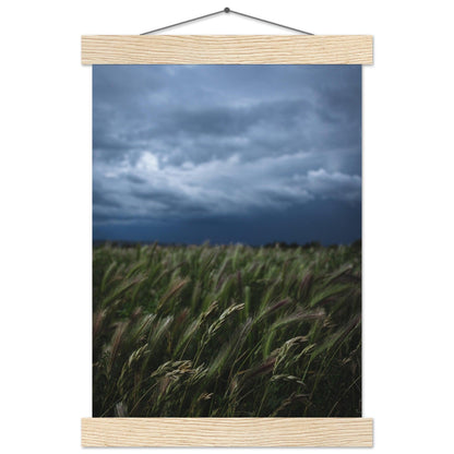 Das saftige grüne Gras - Printree.ch Erholung, Foto, Fotografie, Frankreich, grünes Gras, Landschaft, Landwirtschaft, ländlich, Natur, Naturschönheit, Reisen, Sommer, unsplash, Weide, Wiese