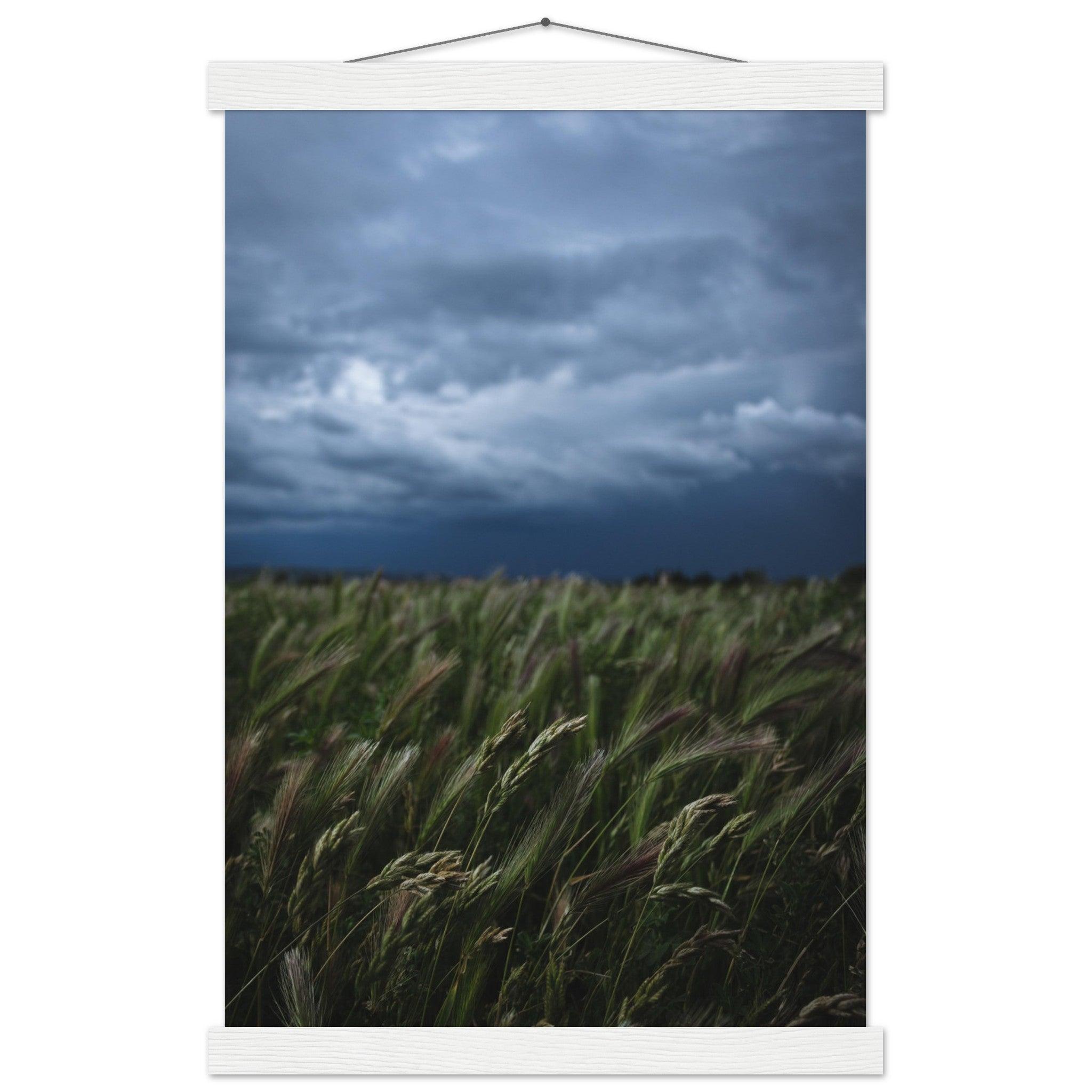 Das saftige grüne Gras - Printree.ch Erholung, Foto, Fotografie, Frankreich, grünes Gras, Landschaft, Landwirtschaft, ländlich, Natur, Naturschönheit, Reisen, Sommer, unsplash, Weide, Wiese