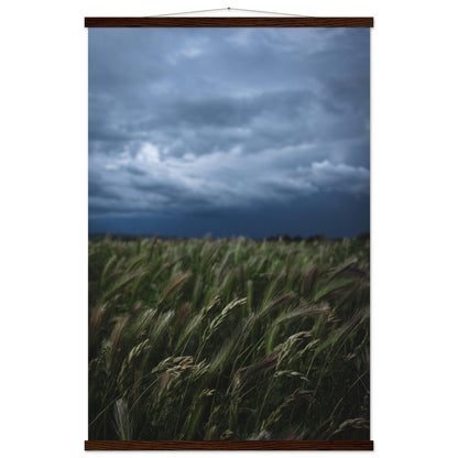 Das saftige grüne Gras - Printree.ch Erholung, Foto, Fotografie, Frankreich, grünes Gras, Landschaft, Landwirtschaft, ländlich, Natur, Naturschönheit, Reisen, Sommer, unsplash, Weide, Wiese