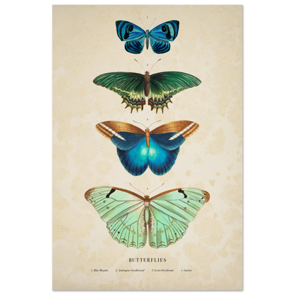 dd5ec49a-e269-414f-874a-e88b420545e9