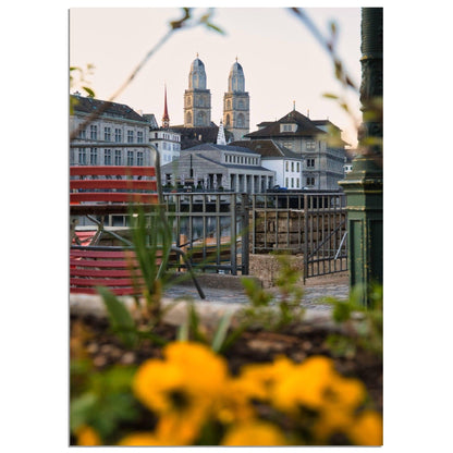 Die Farben des Frühling in Zürich - Printree.ch alt, architektur, blau, blick, brücke, eifach-züri, europa, europäisch, fluss, gebäude, grossmünster, innenstadt, kathedrale, kirche, limmat, panorama, reisen, schweiz, schweizer, see, skyline, stadt, stadtbild, strasse, tourismus, turm, urban, wahrzeichen, zürich