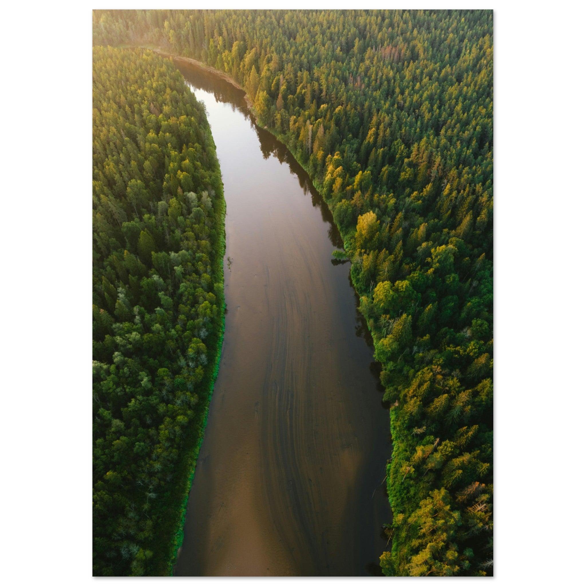 Fluss der Stille - Printree.ch Natur, Unsplash