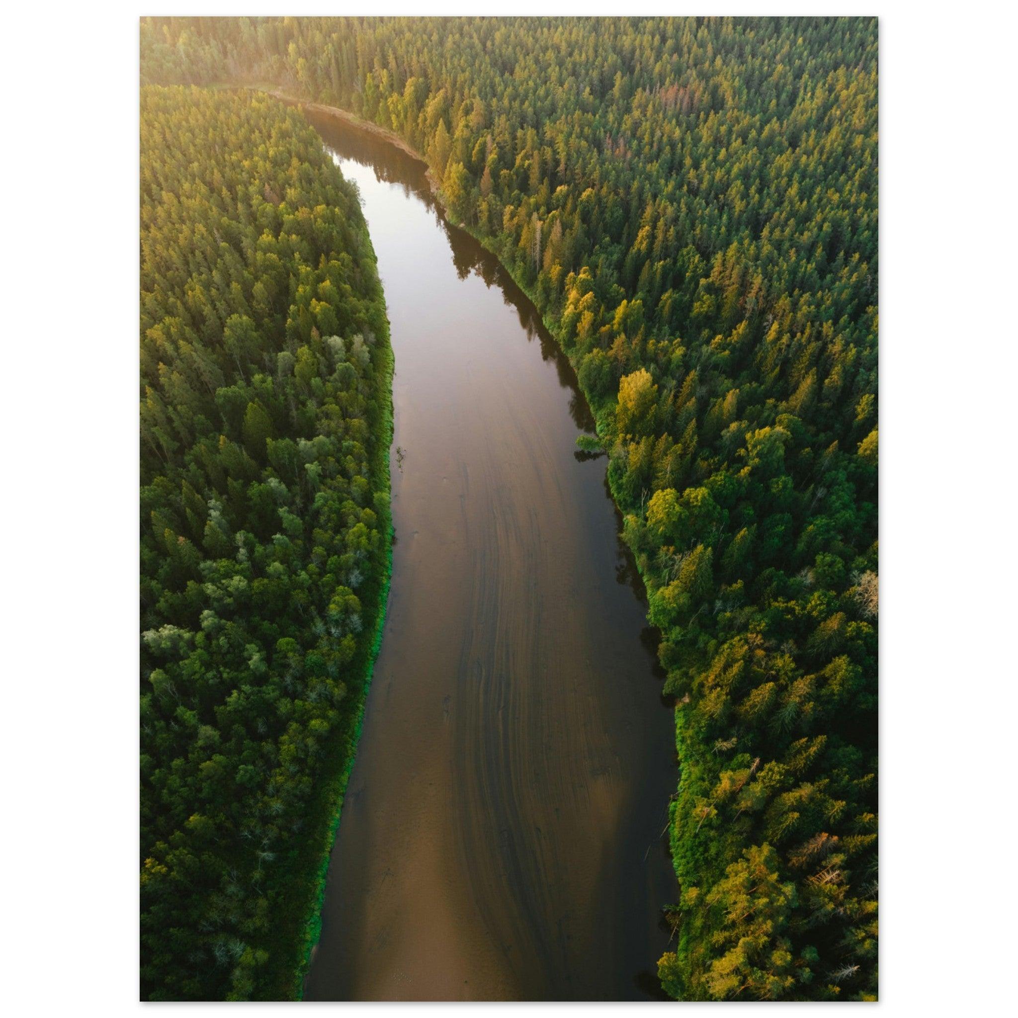 Fluss der Stille - Printree.ch Natur, Unsplash