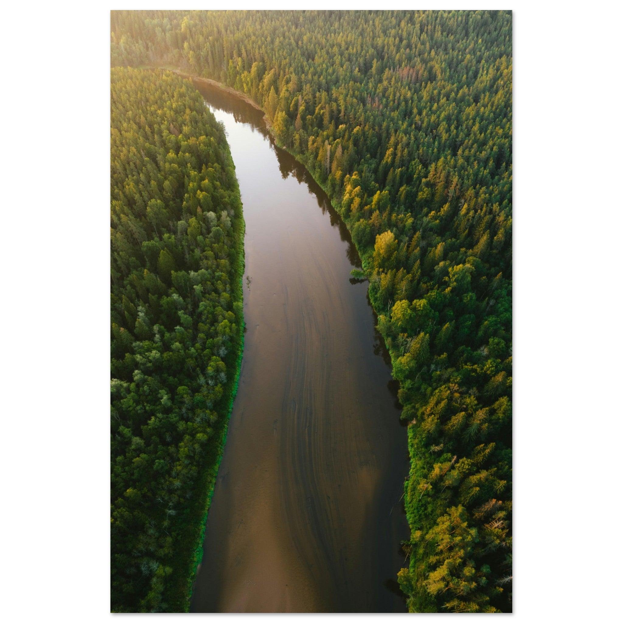 Fluss der Stille - Printree.ch Natur, Unsplash