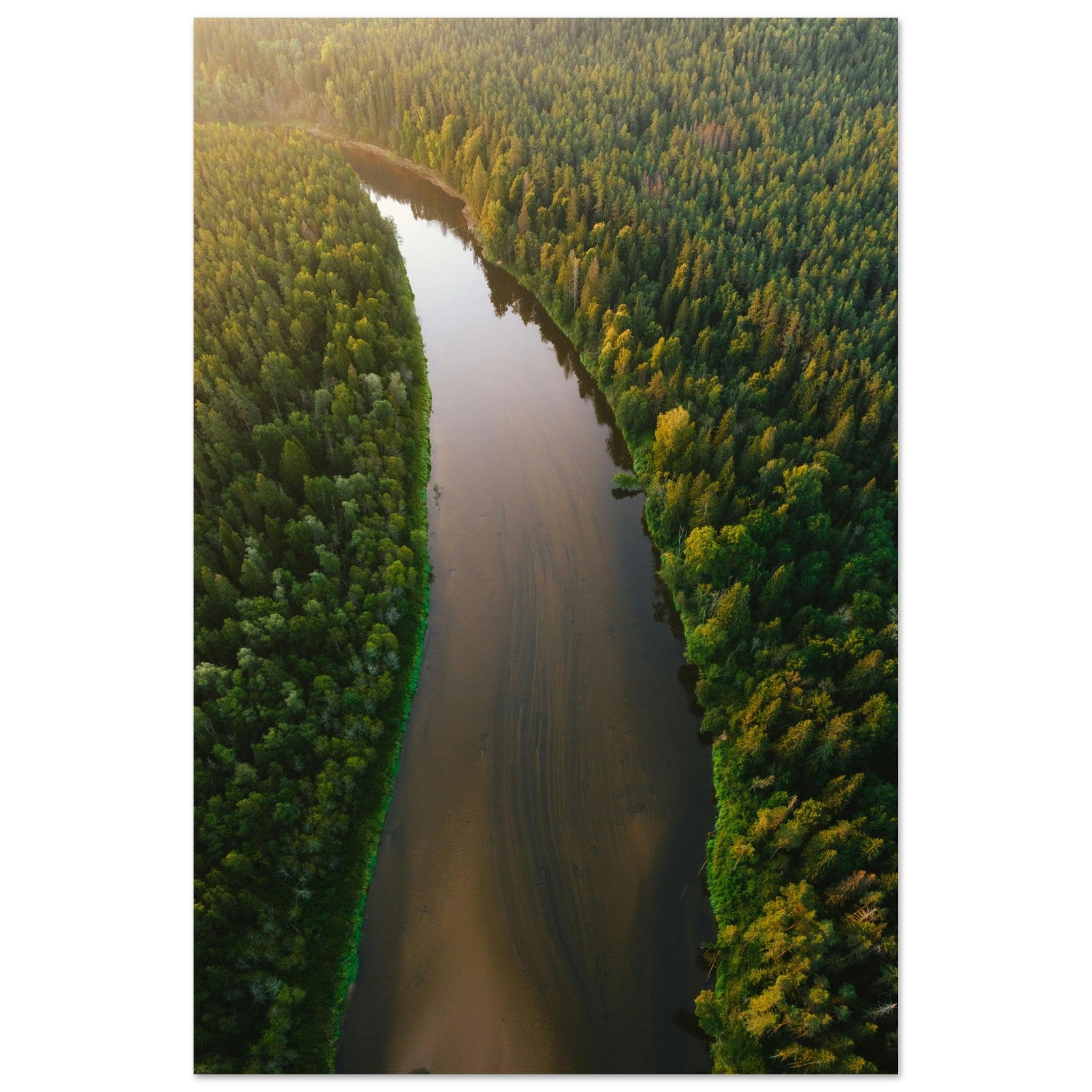 Fluss der Stille - Printree.ch Natur, Unsplash