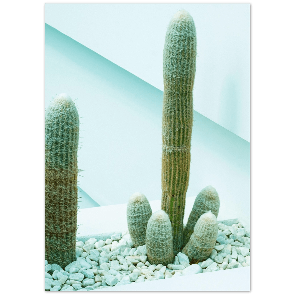 cactus green stylish lifestyle