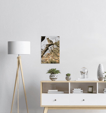 Katze im Baum - Printree.ch Architektur, Blick, cinque, Dorf, einfachschweizer, Europa, exklusiv, Foto, Fotografie, Gesicht, im Freien, Italien, Katze, Katzen, Landschaft, landschaftlich, Ligurien, Meer, Mittelmeer, Natur, orange, Porträt, Poster, Reisen, Riomaggiore, Sommer, Sonnenuntergang, Stadt, Strand, terre, Tier, Tiere, Tourismus, Urlaub