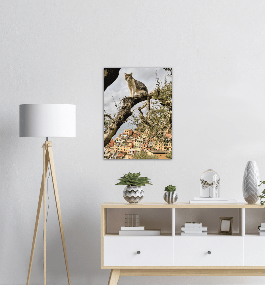 Katze im Baum - Printree.ch Architektur, Blick, cinque, Dorf, einfachschweizer, Europa, exklusiv, Foto, Fotografie, Gesicht, im Freien, Italien, Katze, Katzen, Landschaft, landschaftlich, Ligurien, Meer, Mittelmeer, Natur, orange, Porträt, Poster, Reisen, Riomaggiore, Sommer, Sonnenuntergang, Stadt, Strand, terre, Tier, Tiere, Tourismus, Urlaub