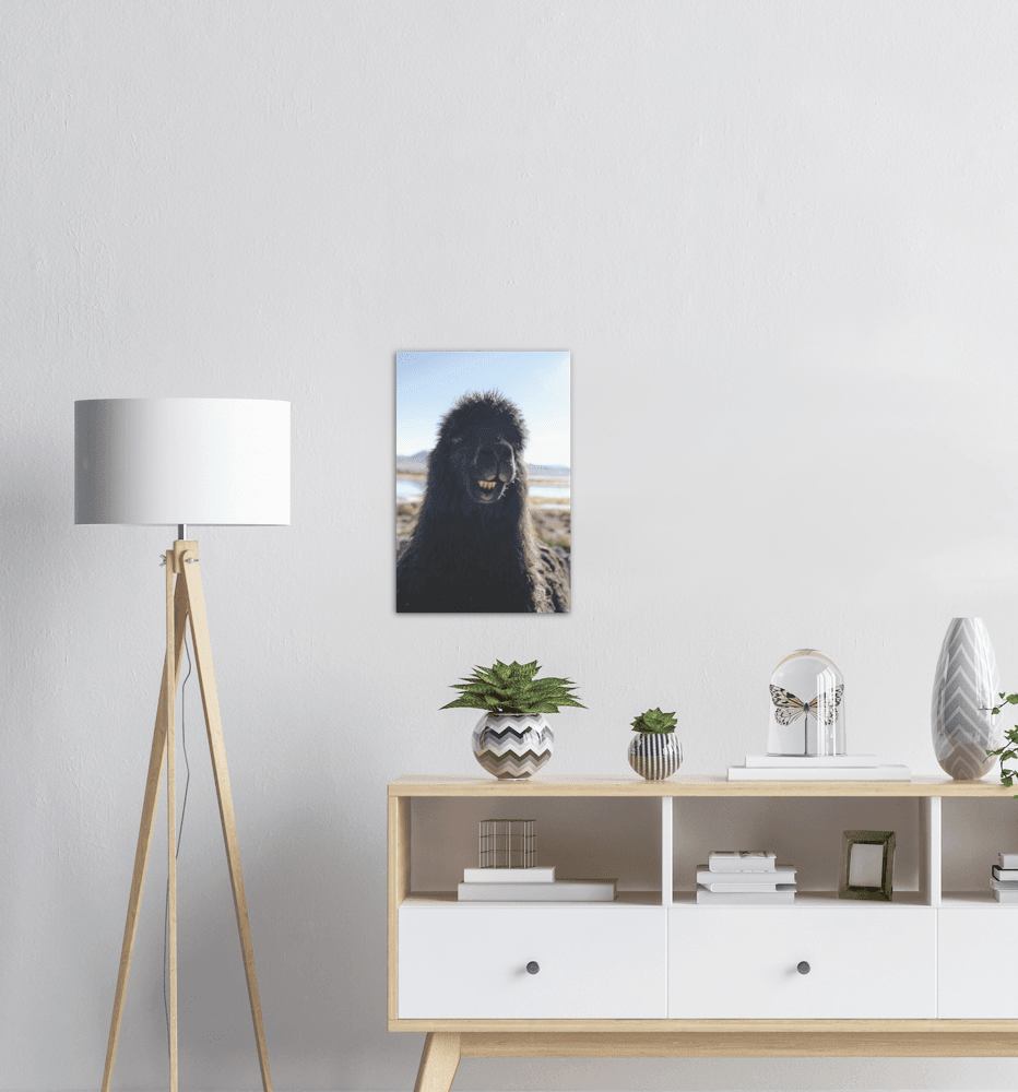 Lächelndes - Alpaca - Printree.ch berge, einfachschweizer, exklusiv, Foto, Fotografie, landschaft, Natur, Poster, Reisen, Südamerika, Tiere, tourismus