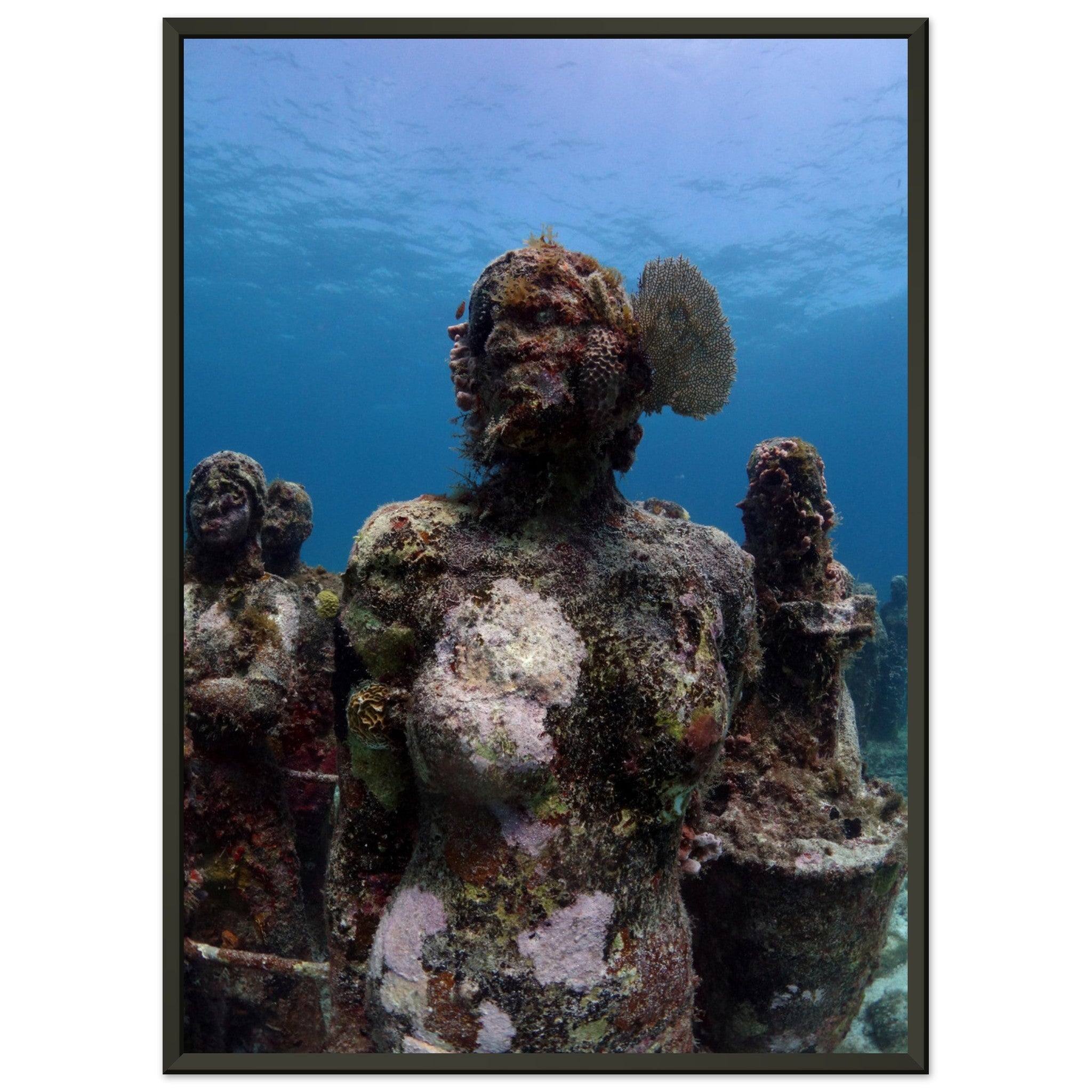 Lebendige Skulpturen: Das Korallenohr im Unterwassermuseum von Cancún - Printree.ch Fisch, Foto, Fotografie, meer, Meereslandschaft, ozean, SABRINA SIGNER, Unterwasserwelt