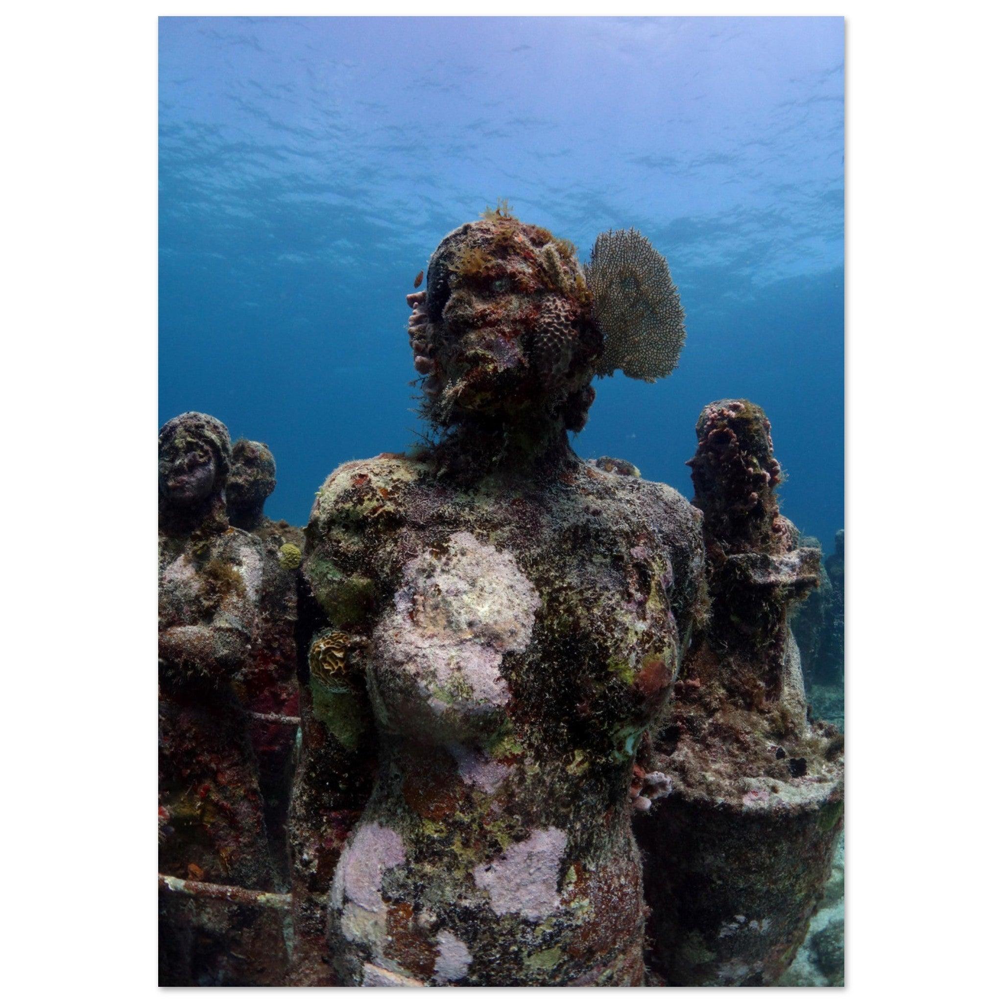 Lebendige Skulpturen: Das Korallenohr im Unterwassermuseum von Cancún - Printree.ch Fisch, Foto, Fotografie, meer, Meereslandschaft, ozean, SABRINA SIGNER, Unterwasserwelt