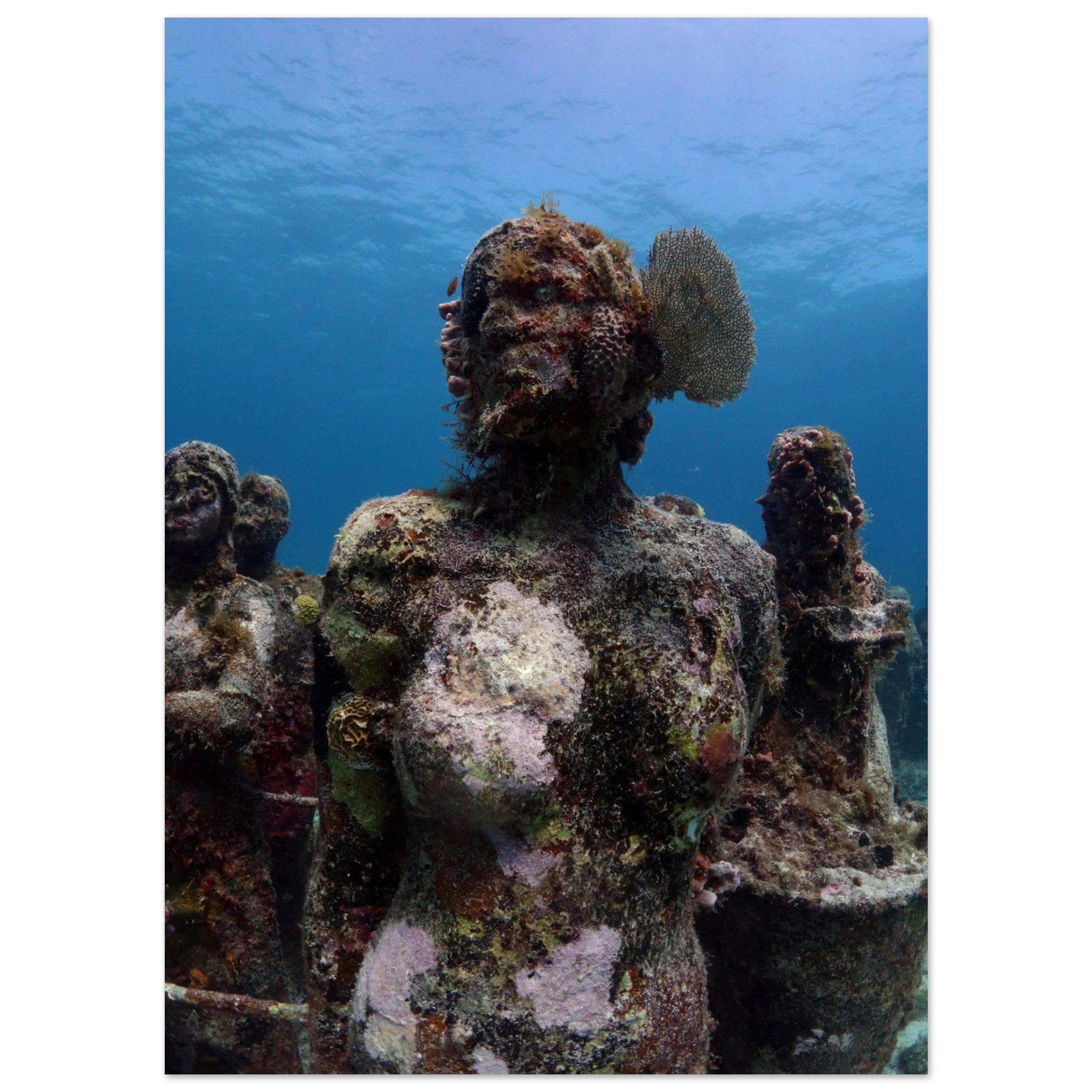 Lebendige Skulpturen: Das Korallenohr im Unterwassermuseum von Cancún - Printree.ch Fisch, Foto, Fotografie, meer, Meereslandschaft, ozean, SABRINA SIGNER, Unterwasserwelt