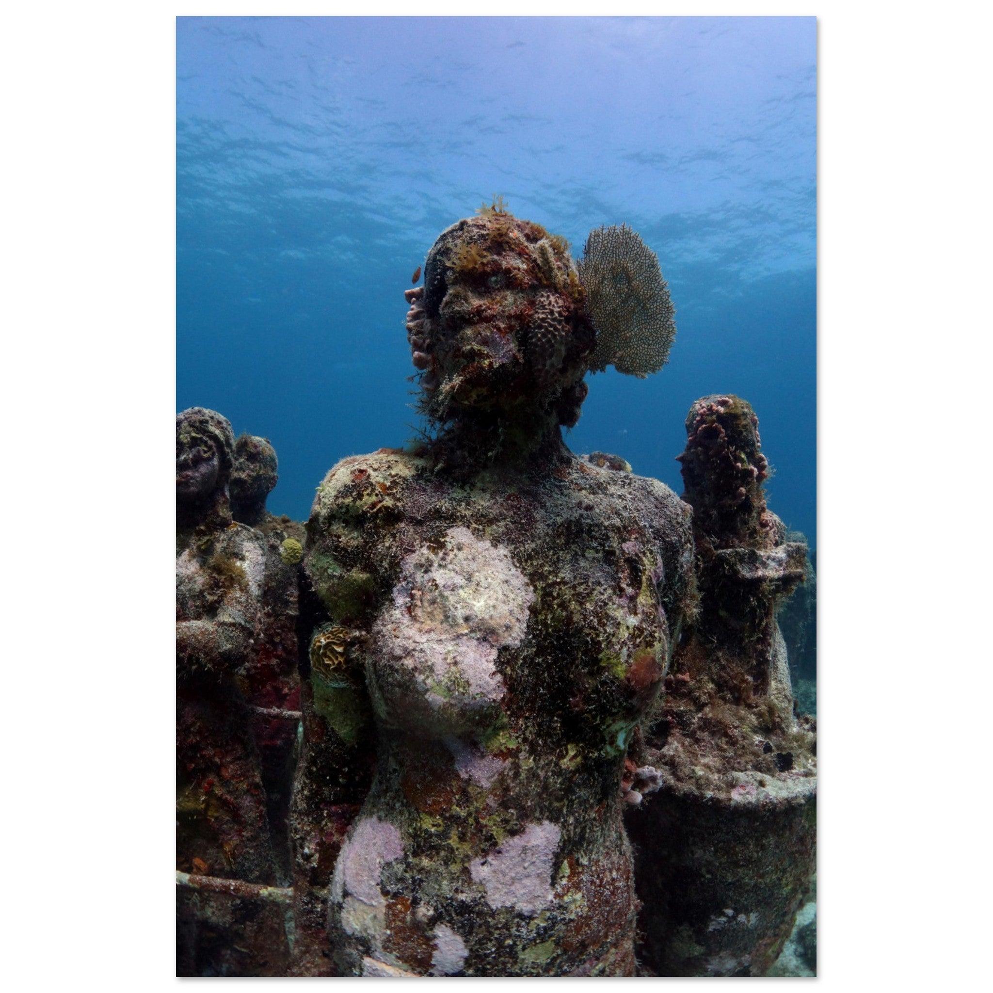 Lebendige Skulpturen: Das Korallenohr im Unterwassermuseum von Cancún - Printree.ch Fisch, Foto, Fotografie, meer, Meereslandschaft, ozean, SABRINA SIGNER, Unterwasserwelt