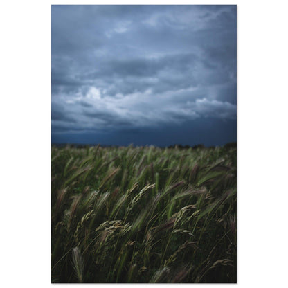 Natürliche Schönheit Poster - Printree.ch Erholung, Foto, Fotografie, Frankreich, grünes Gras, Landschaft, Landwirtschaft, ländlich, Natur, Naturschönheit, Reisen, Sommer, unsplash, Weide, Wiese