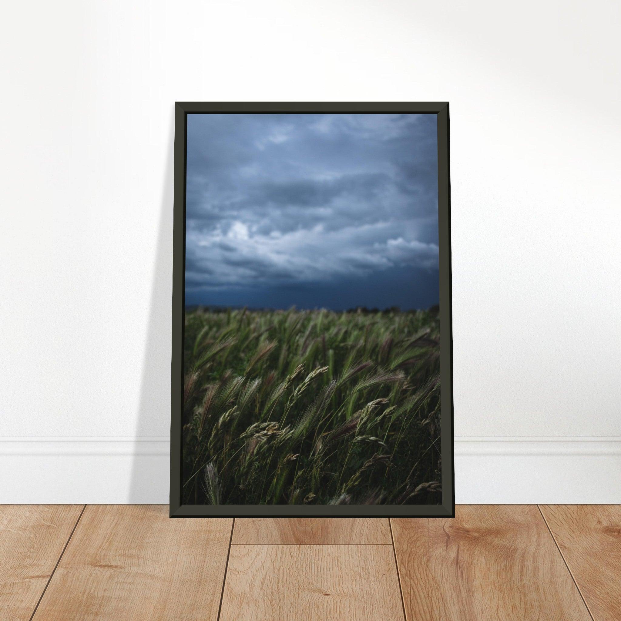 Natürliche Schönheit Poster - Printree.ch Erholung, Foto, Fotografie, Frankreich, grünes Gras, Landschaft, Landwirtschaft, ländlich, Natur, Naturschönheit, Reisen, Sommer, unsplash, Weide, Wiese