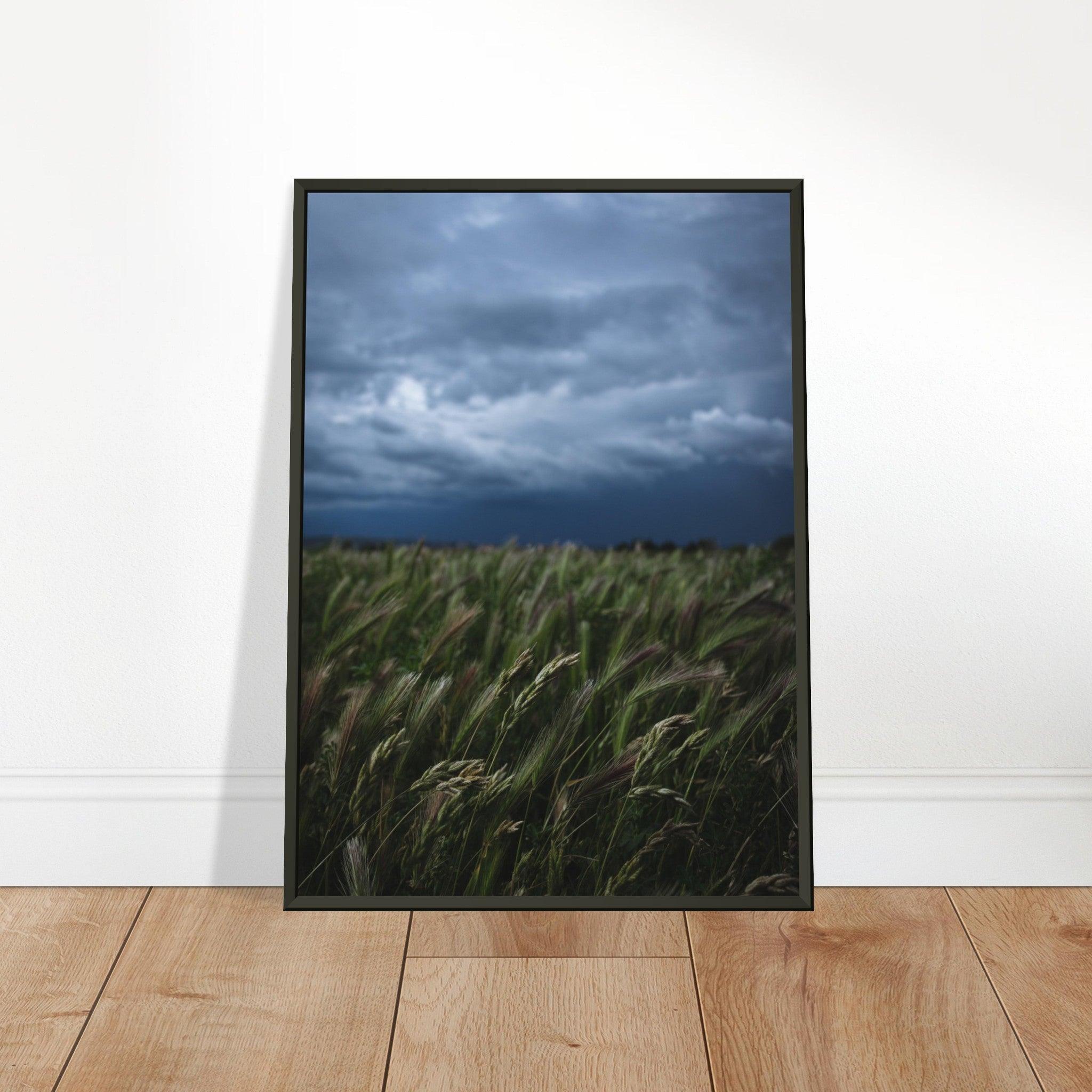 Natürliche Schönheit Poster - Printree.ch Erholung, Foto, Fotografie, Frankreich, grünes Gras, Landschaft, Landwirtschaft, ländlich, Natur, Naturschönheit, Reisen, Sommer, unsplash, Weide, Wiese