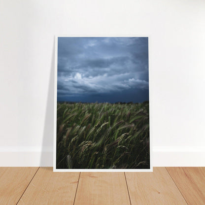 Natürliche Schönheit Poster - Printree.ch Erholung, Foto, Fotografie, Frankreich, grünes Gras, Landschaft, Landwirtschaft, ländlich, Natur, Naturschönheit, Reisen, Sommer, unsplash, Weide, Wiese