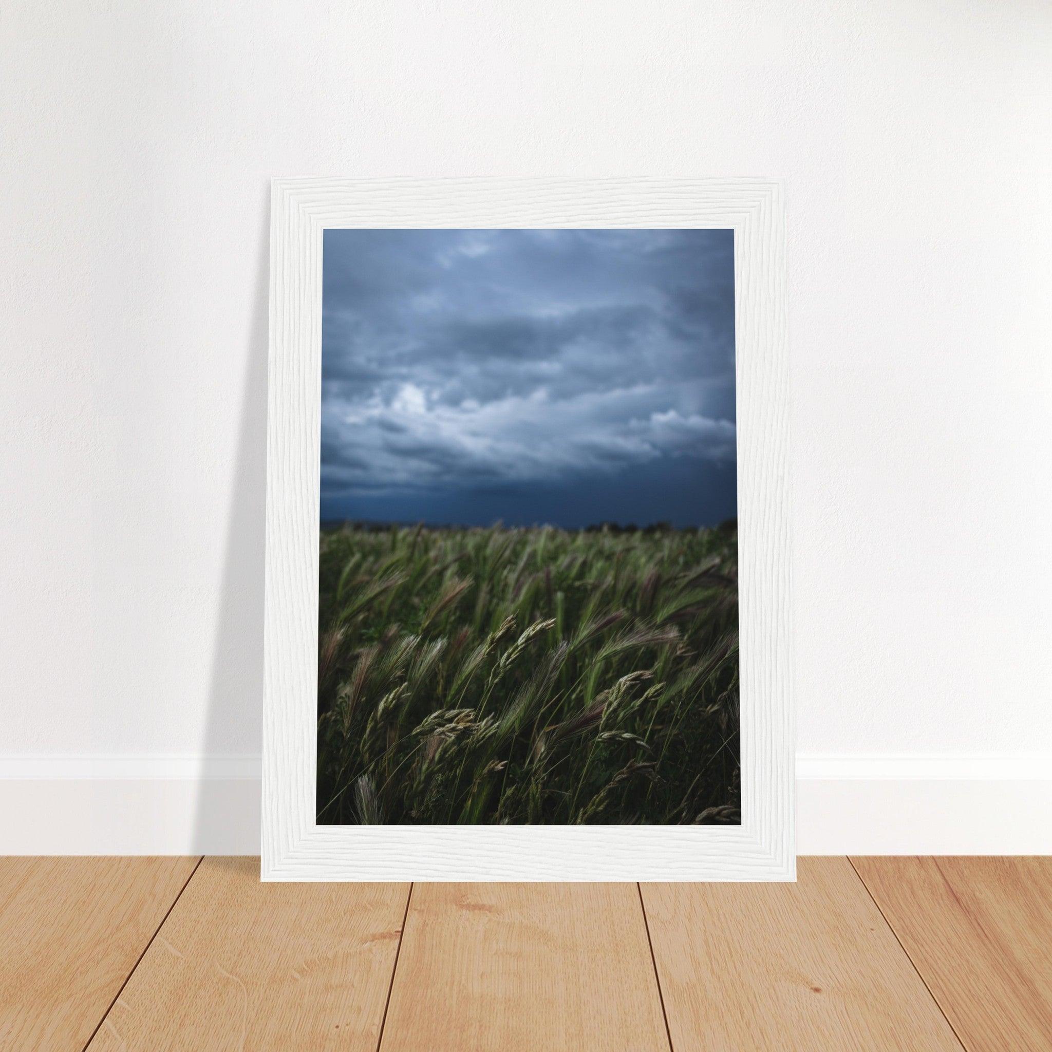 Natürliche Schönheit Poster - Printree.ch Erholung, Foto, Fotografie, Frankreich, grünes Gras, Landschaft, Landwirtschaft, ländlich, Natur, Naturschönheit, Reisen, Sommer, unsplash, Weide, Wiese