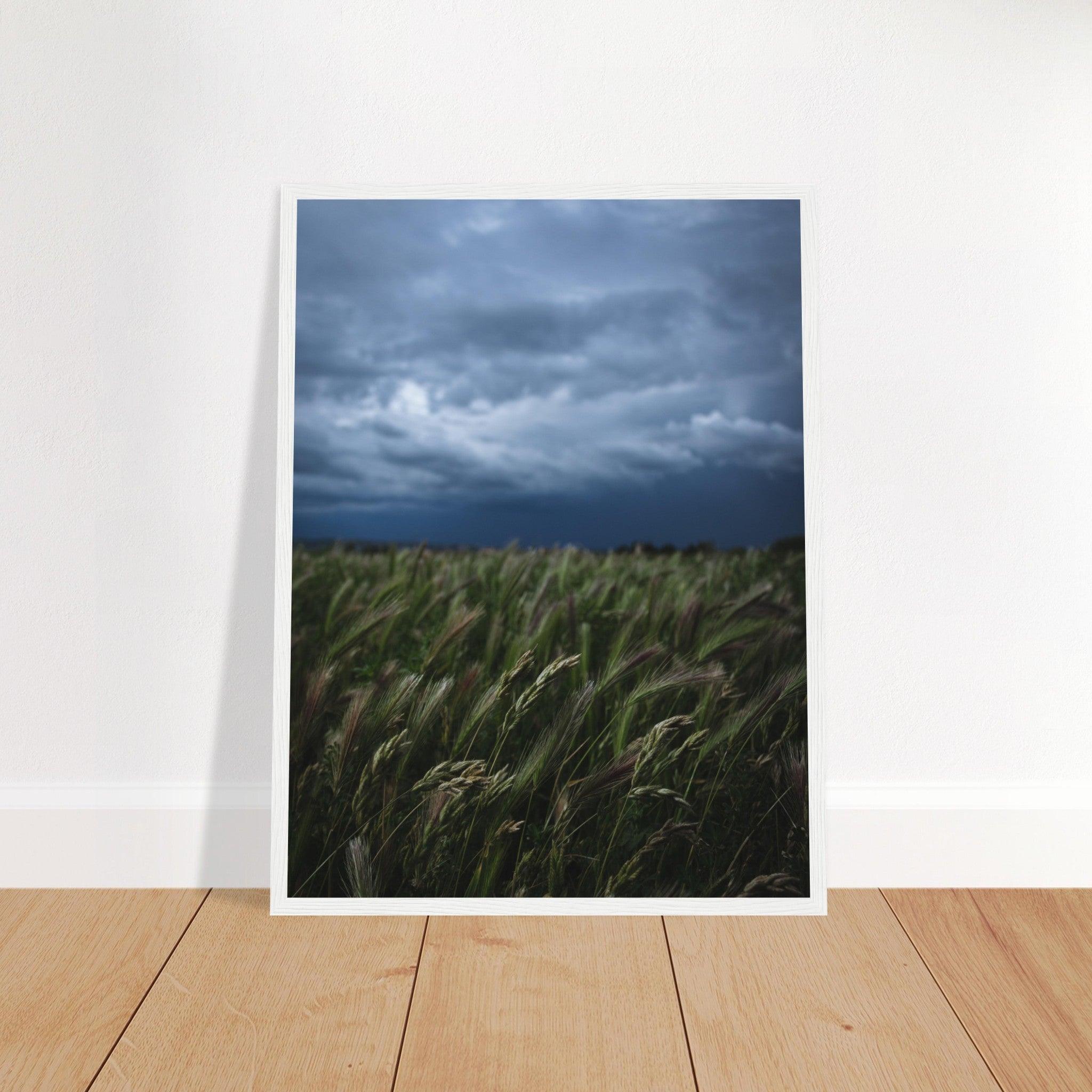 Natürliche Schönheit Poster - Printree.ch Erholung, Foto, Fotografie, Frankreich, grünes Gras, Landschaft, Landwirtschaft, ländlich, Natur, Naturschönheit, Reisen, Sommer, unsplash, Weide, Wiese