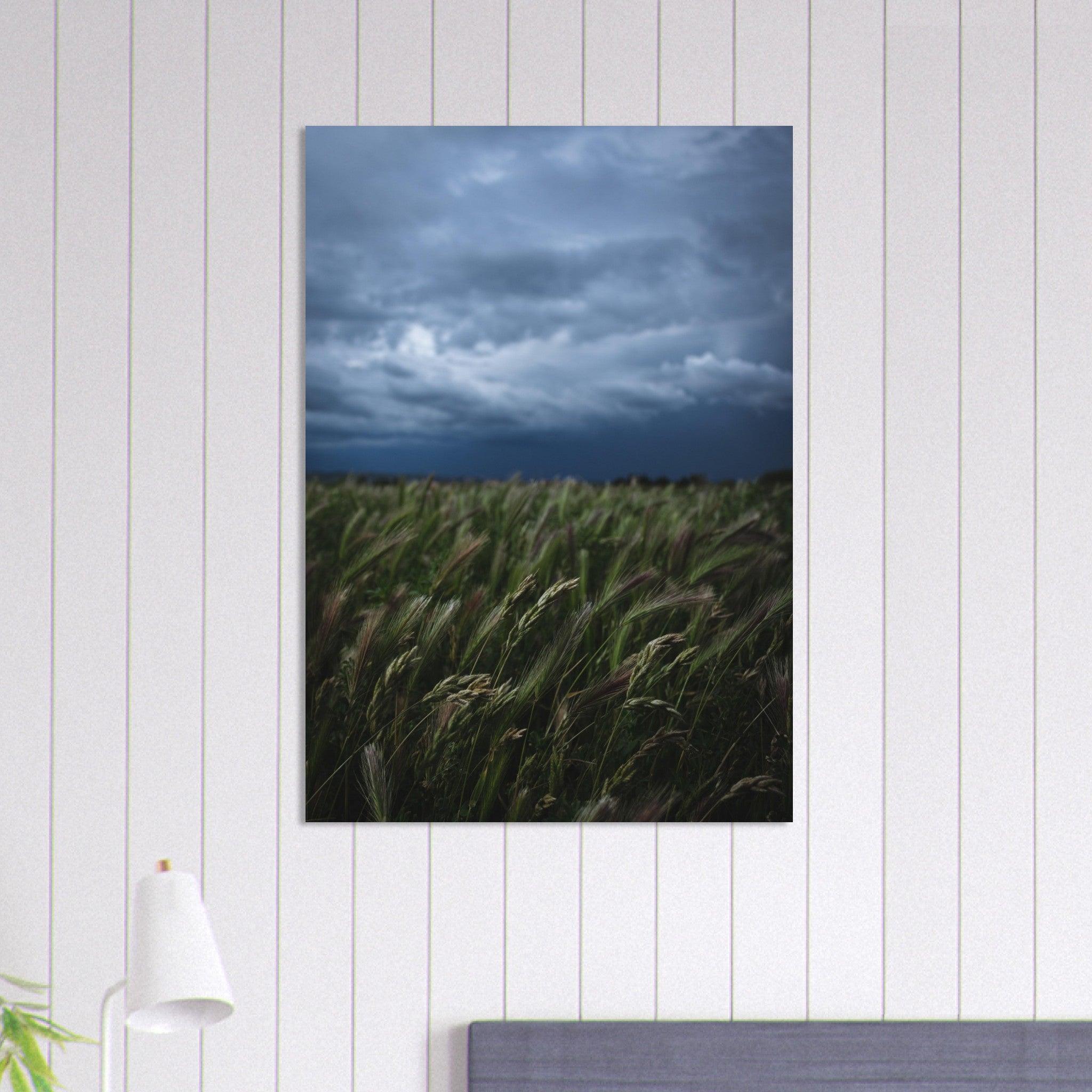 Natürliche Schönheit Poster - Printree.ch Erholung, Foto, Fotografie, Frankreich, grünes Gras, Landschaft, Landwirtschaft, ländlich, Natur, Naturschönheit, Reisen, Sommer, unsplash, Weide, Wiese