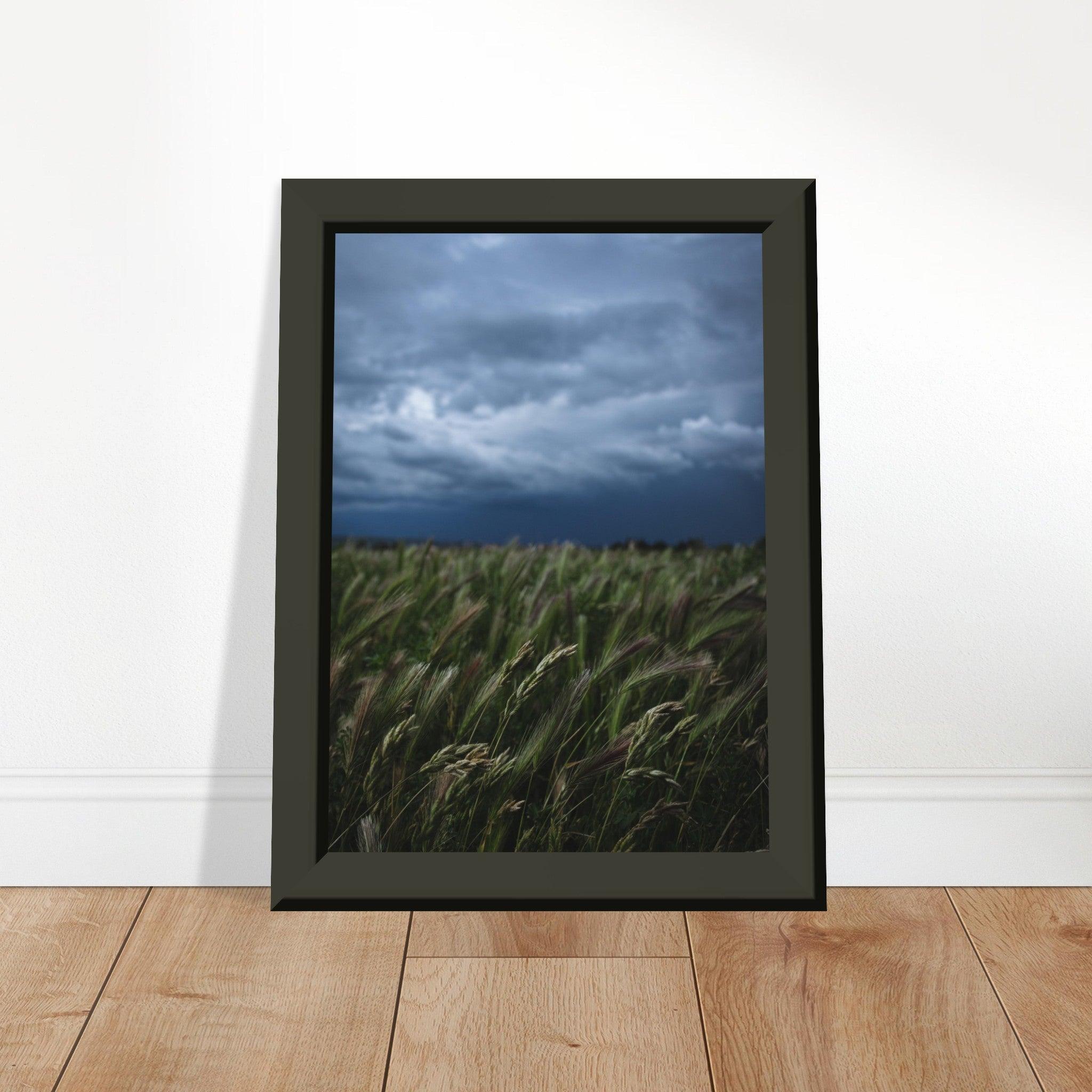 Natürliche Schönheit Poster - Printree.ch Erholung, Foto, Fotografie, Frankreich, grünes Gras, Landschaft, Landwirtschaft, ländlich, Natur, Naturschönheit, Reisen, Sommer, unsplash, Weide, Wiese