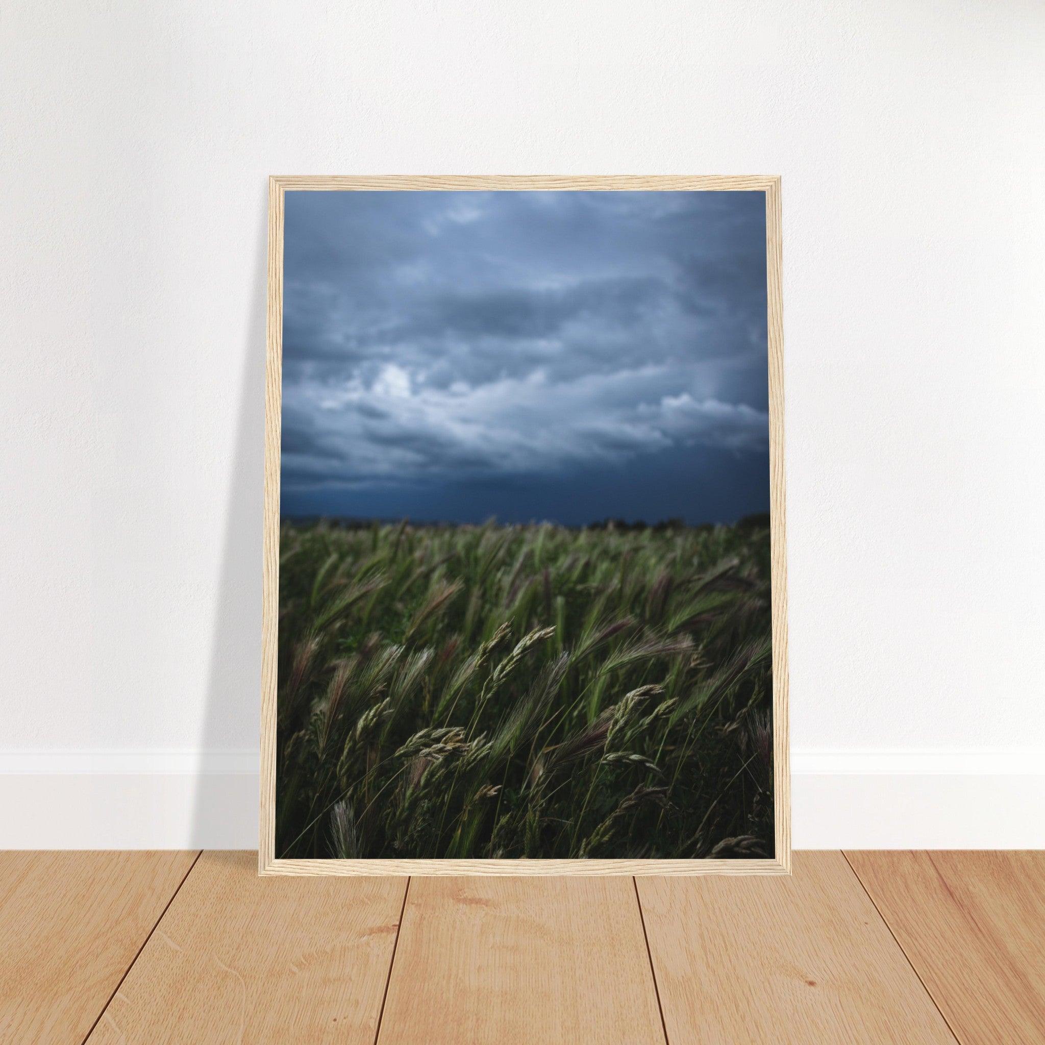 Natürliche Schönheit Poster - Printree.ch Erholung, Foto, Fotografie, Frankreich, grünes Gras, Landschaft, Landwirtschaft, ländlich, Natur, Naturschönheit, Reisen, Sommer, unsplash, Weide, Wiese