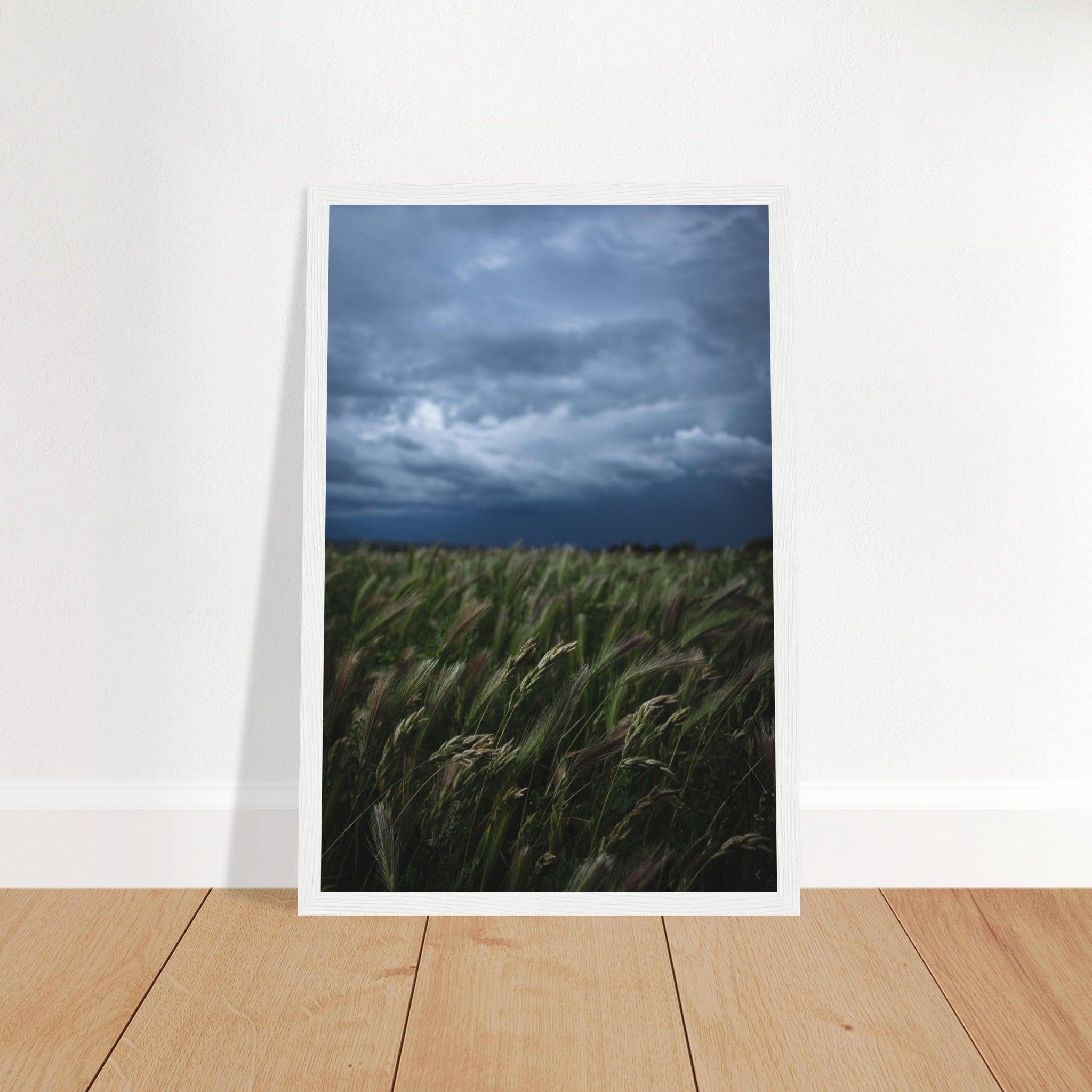 Natürliche Schönheit Poster - Printree.ch Erholung, Foto, Fotografie, Frankreich, grünes Gras, Landschaft, Landwirtschaft, ländlich, Natur, Naturschönheit, Reisen, Sommer, unsplash, Weide, Wiese