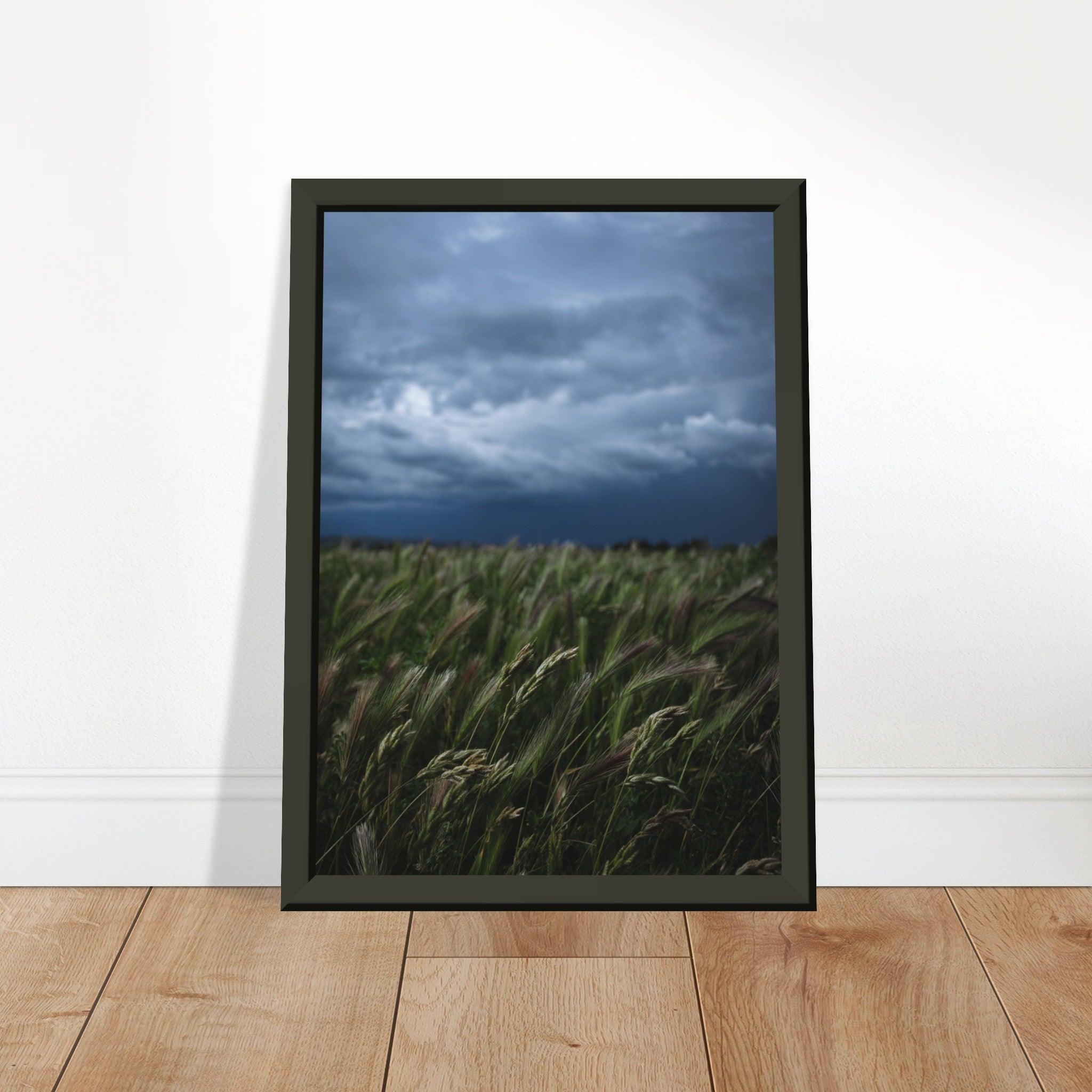 Natürliche Schönheit Poster - Printree.ch Erholung, Foto, Fotografie, Frankreich, grünes Gras, Landschaft, Landwirtschaft, ländlich, Natur, Naturschönheit, Reisen, Sommer, unsplash, Weide, Wiese