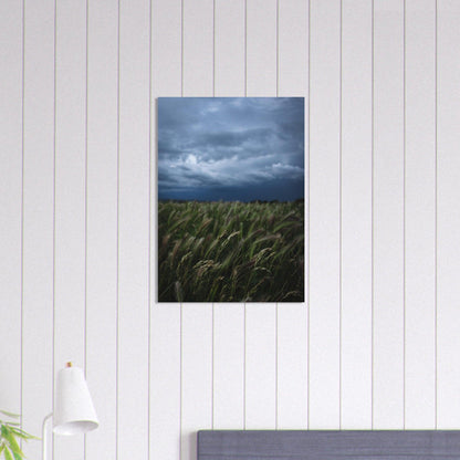 Natürliche Schönheit Poster - Printree.ch Erholung, Foto, Fotografie, Frankreich, grünes Gras, Landschaft, Landwirtschaft, ländlich, Natur, Naturschönheit, Reisen, Sommer, unsplash, Weide, Wiese