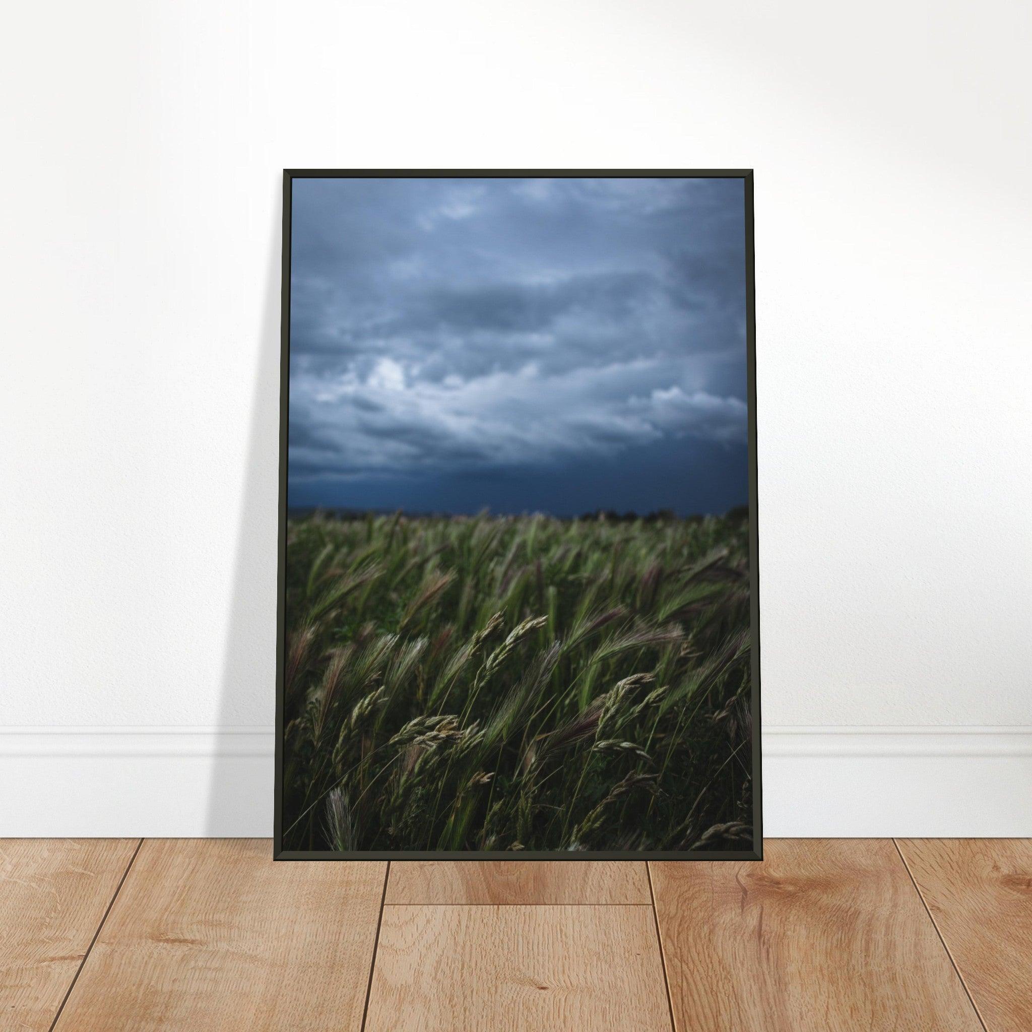 Natürliche Schönheit Poster - Printree.ch Erholung, Foto, Fotografie, Frankreich, grünes Gras, Landschaft, Landwirtschaft, ländlich, Natur, Naturschönheit, Reisen, Sommer, unsplash, Weide, Wiese