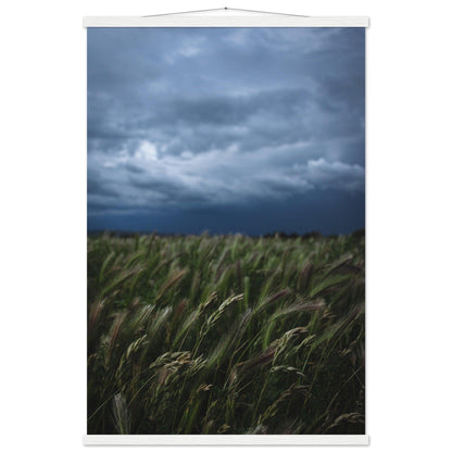 Natürliche Schönheit Poster - Printree.ch Erholung, Foto, Fotografie, Frankreich, grünes Gras, Landschaft, Landwirtschaft, ländlich, Natur, Naturschönheit, Reisen, Sommer, unsplash, Weide, Wiese