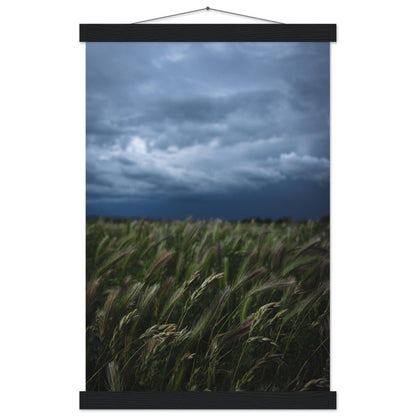 Natürliche Schönheit Poster - Printree.ch Erholung, Foto, Fotografie, Frankreich, grünes Gras, Landschaft, Landwirtschaft, ländlich, Natur, Naturschönheit, Reisen, Sommer, unsplash, Weide, Wiese