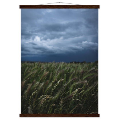 Natürliche Schönheit Poster - Printree.ch Erholung, Foto, Fotografie, Frankreich, grünes Gras, Landschaft, Landwirtschaft, ländlich, Natur, Naturschönheit, Reisen, Sommer, unsplash, Weide, Wiese