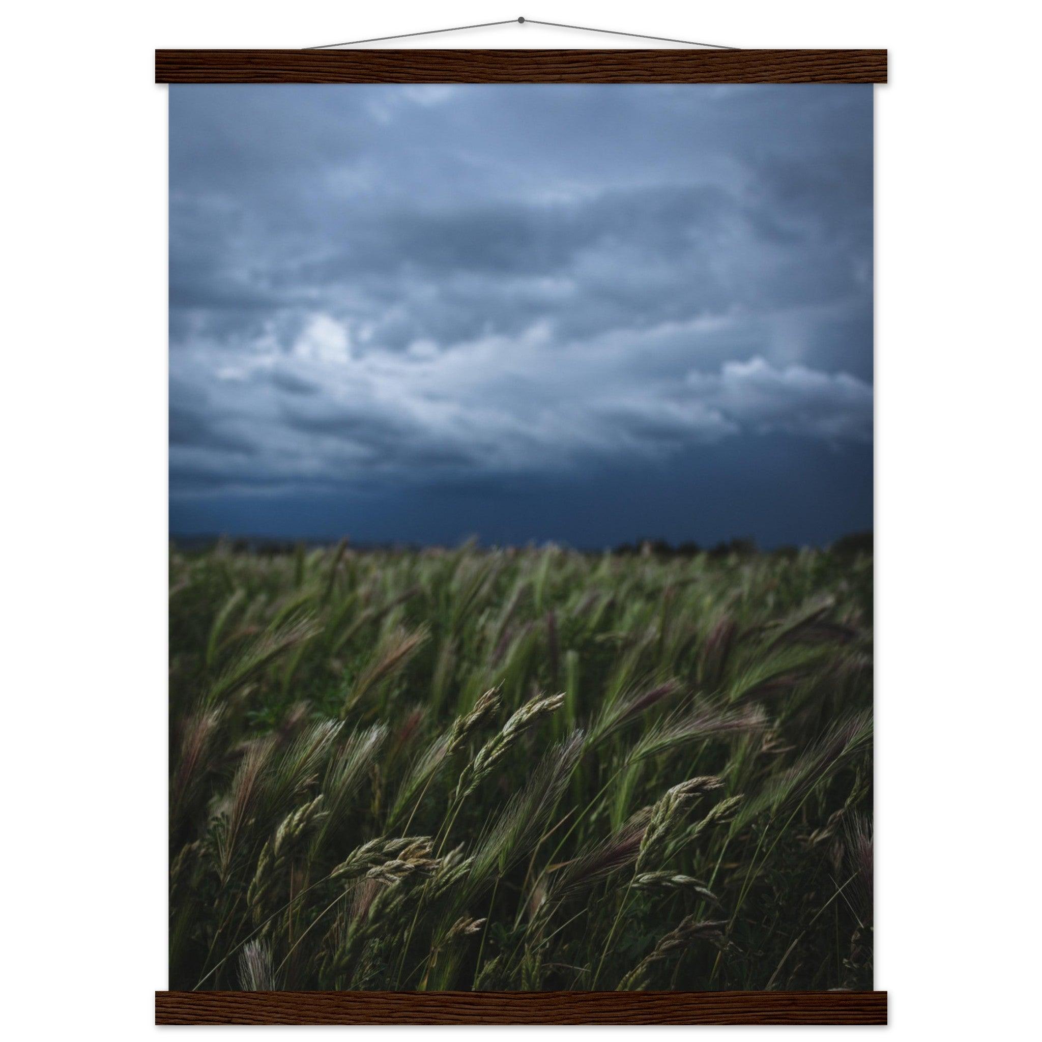 Natürliche Schönheit Poster - Printree.ch Erholung, Foto, Fotografie, Frankreich, grünes Gras, Landschaft, Landwirtschaft, ländlich, Natur, Naturschönheit, Reisen, Sommer, unsplash, Weide, Wiese