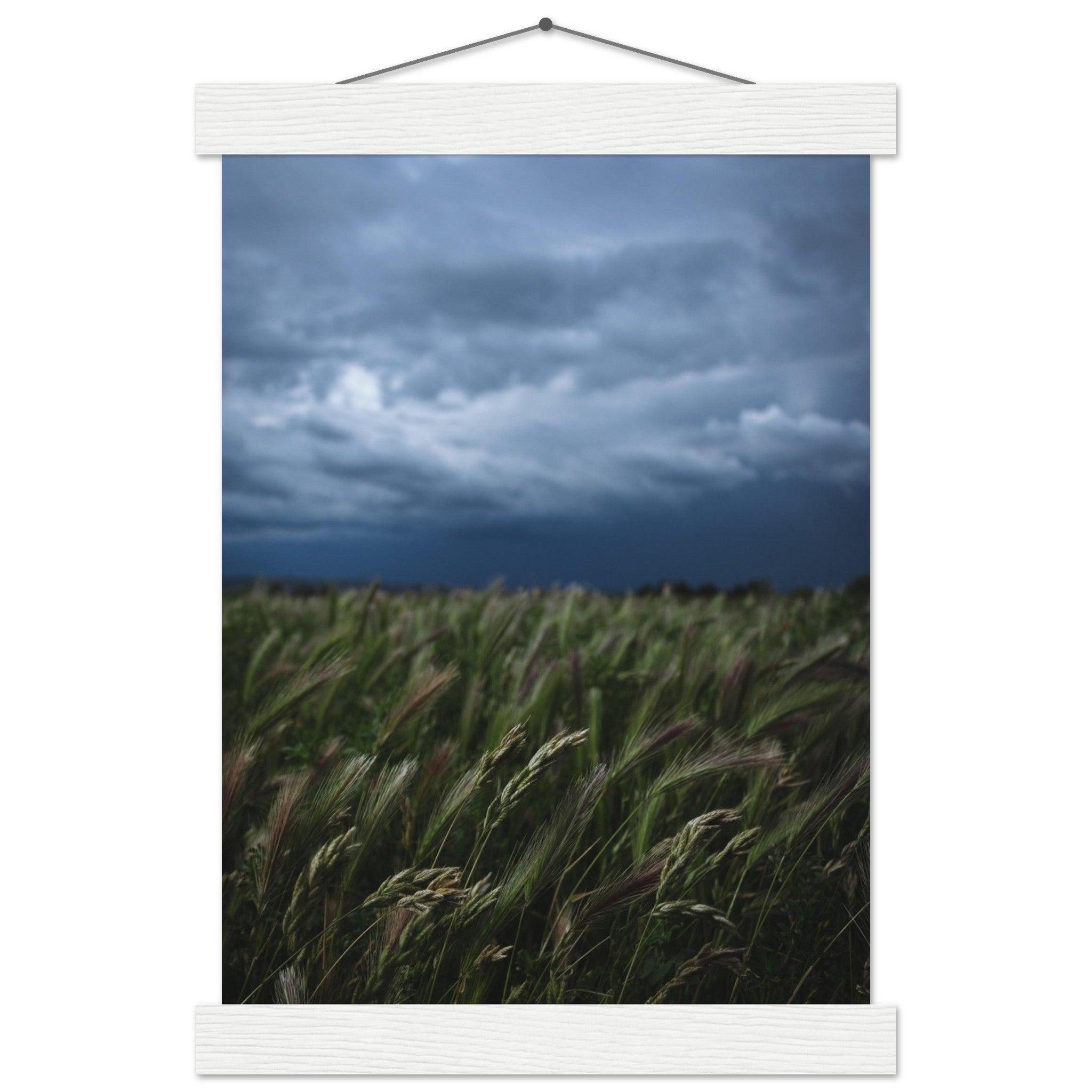 Natürliche Schönheit Poster - Printree.ch Erholung, Foto, Fotografie, Frankreich, grünes Gras, Landschaft, Landwirtschaft, ländlich, Natur, Naturschönheit, Reisen, Sommer, unsplash, Weide, Wiese