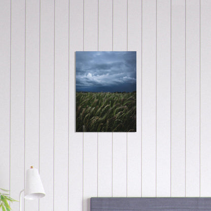 Natürliche Schönheit Poster - Printree.ch Erholung, Foto, Fotografie, Frankreich, grünes Gras, Landschaft, Landwirtschaft, ländlich, Natur, Naturschönheit, Reisen, Sommer, unsplash, Weide, Wiese