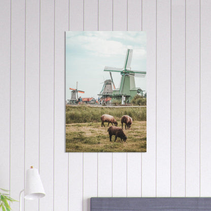 Niederlande Poster - Printree.ch Foto, Fotografie, unsplash