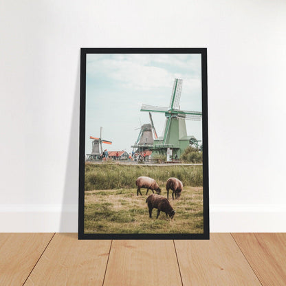 Niederlande Poster - Printree.ch Foto, Fotografie, unsplash