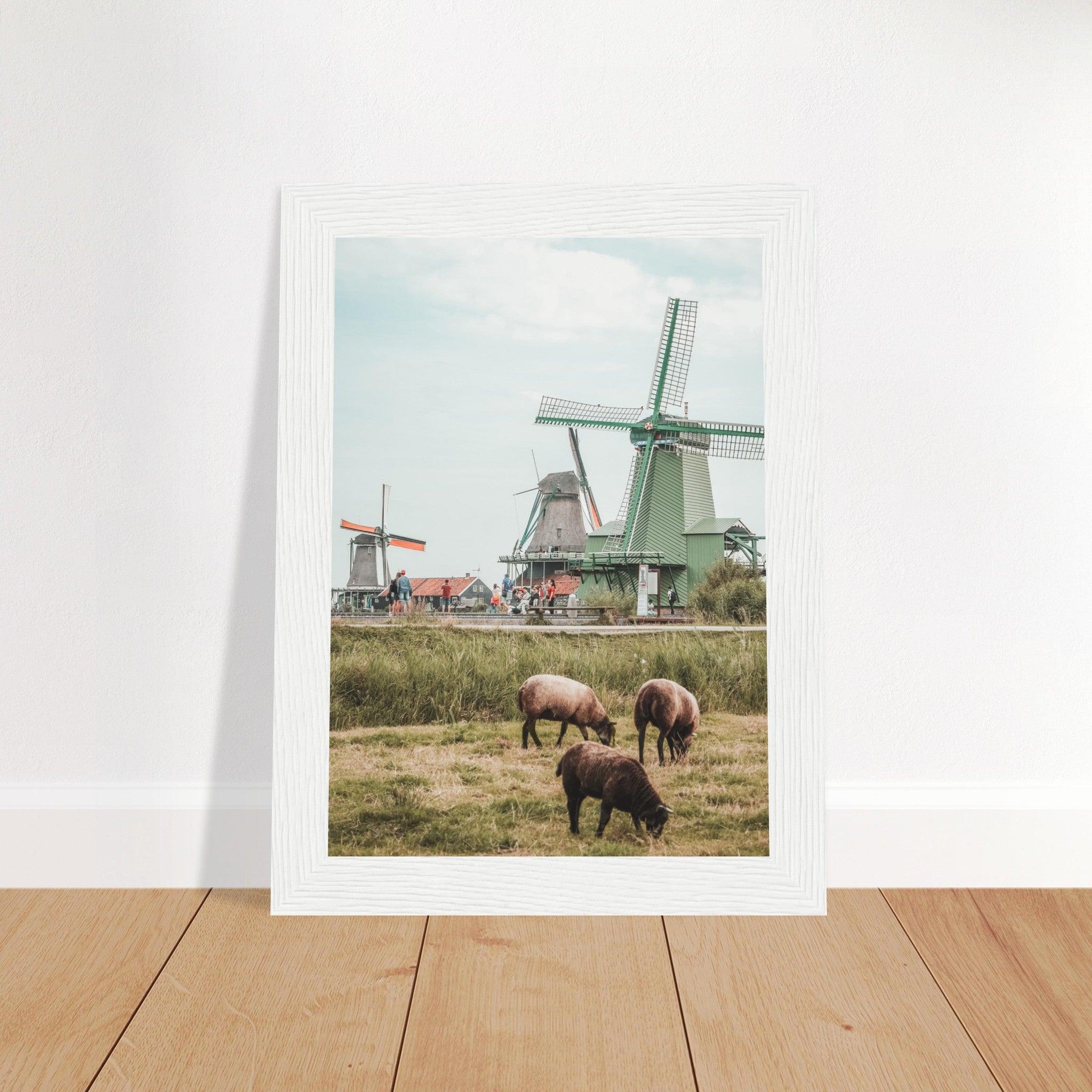 Niederlande Poster - Printree.ch Foto, Fotografie, unsplash