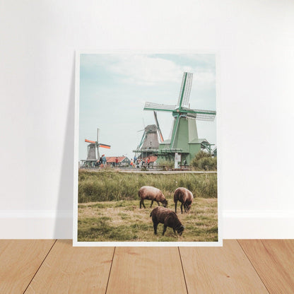 Niederlande Poster - Printree.ch Foto, Fotografie, unsplash