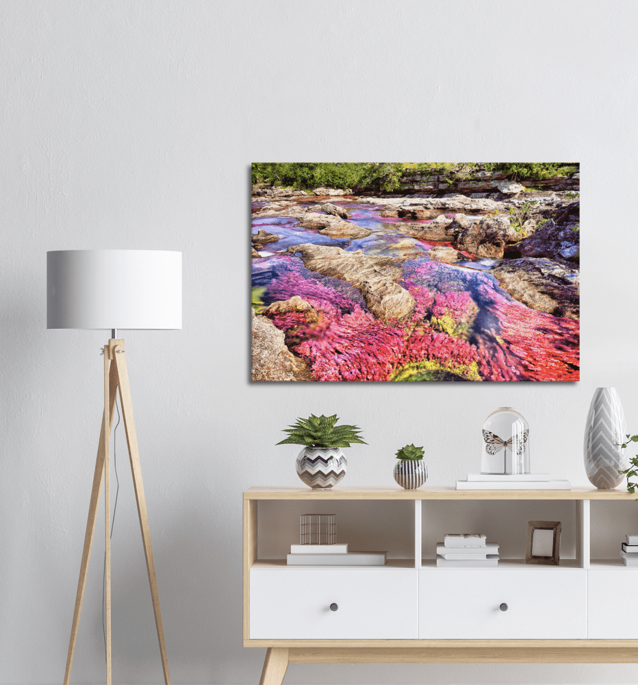 Roter Fluss Kolumbien - Printree.ch baum, einfachschweizer, erstaunliche landschaft, erstaunliche natur, exklusiv, fabelhaft, farbe, farben, fluss, Foto, Fotografie, fünf farben fluss, grün, hintergründe, kaskade, kaskaden, katalonien, kolumbien, llanos, macarena, meta, natur, naturalisieren, pflanzen, Poster, regenbogen fluss, Reisen, rosa, rot, schlucht, see, stausee, Südamerika, tierra, tälern, vida