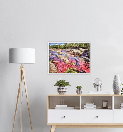 Roter Fluss Kolumbien - Printree.ch baum, einfachschweizer, erstaunliche landschaft, erstaunliche natur, exklusiv, fabelhaft, farbe, farben, fluss, Foto, Fotografie, fünf farben fluss, grün, hintergründe, kaskade, kaskaden, katalonien, kolumbien, llanos, macarena, meta, natur, naturalisieren, pflanzen, Poster, regenbogen fluss, Reisen, rosa, rot, schlucht, see, stausee, Südamerika, tierra, tälern, vida